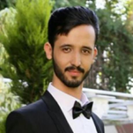 Javad Ameri